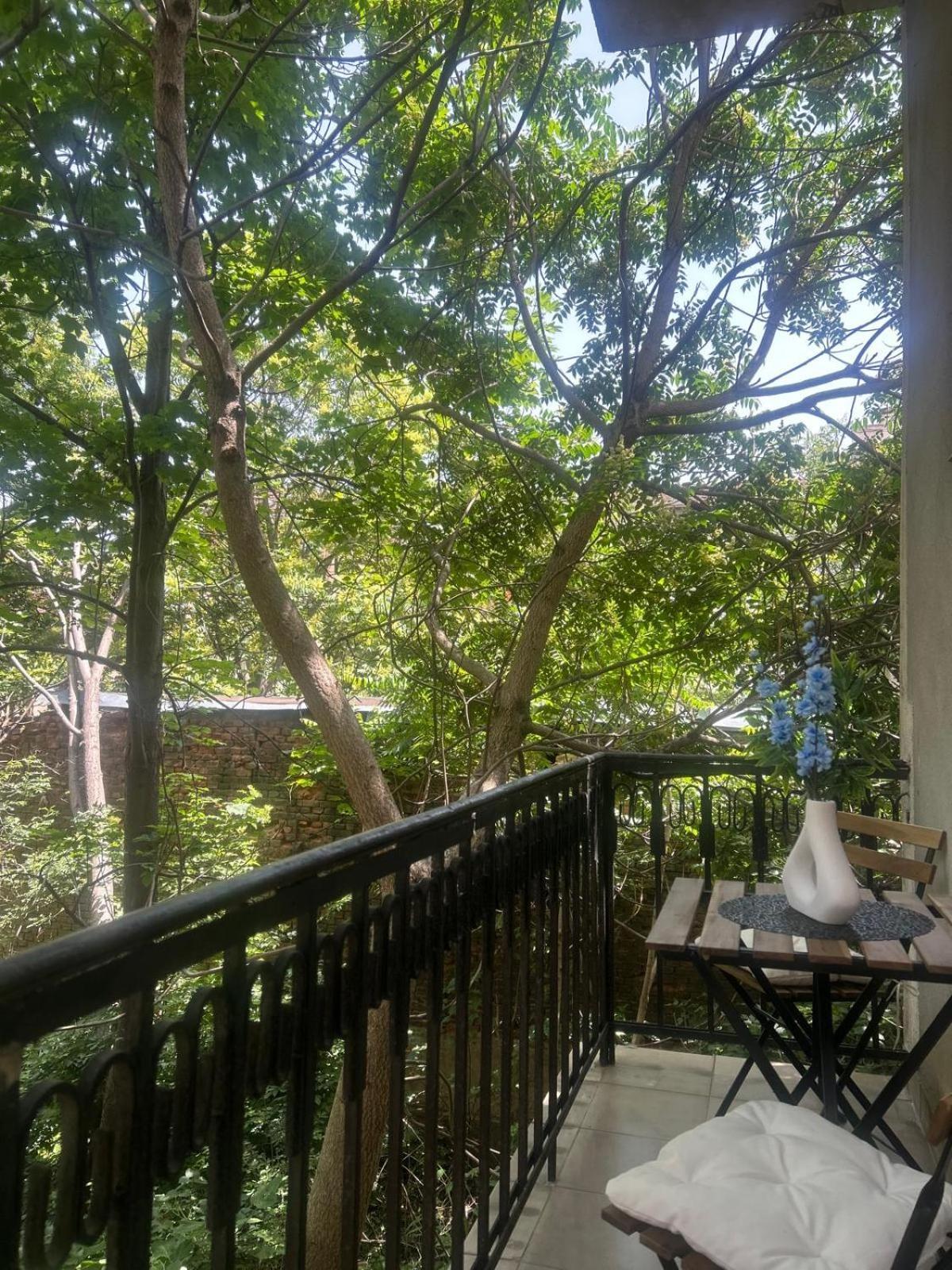 Pirotska Modern Appartement *