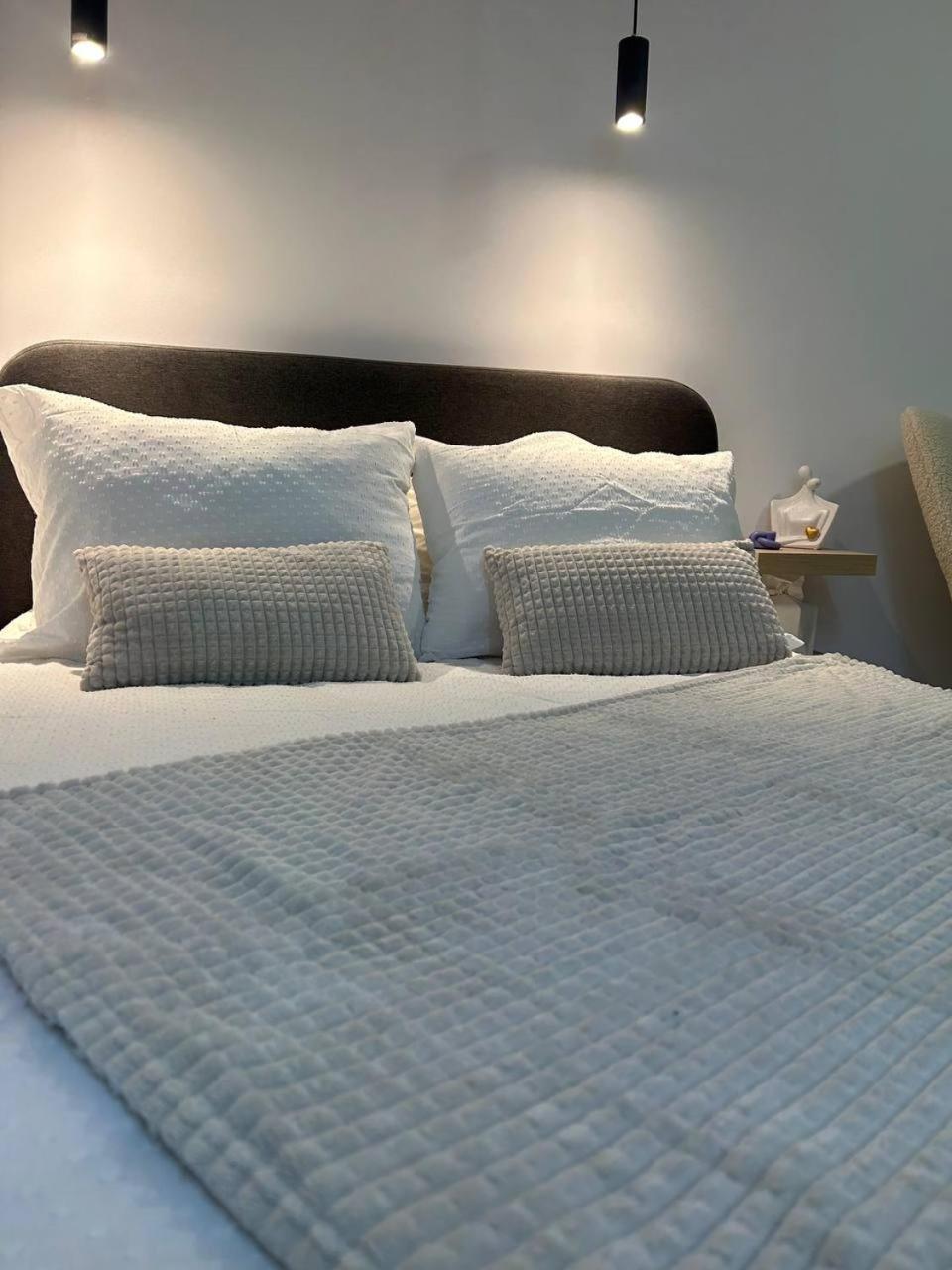 Appartement Pirotska Modern